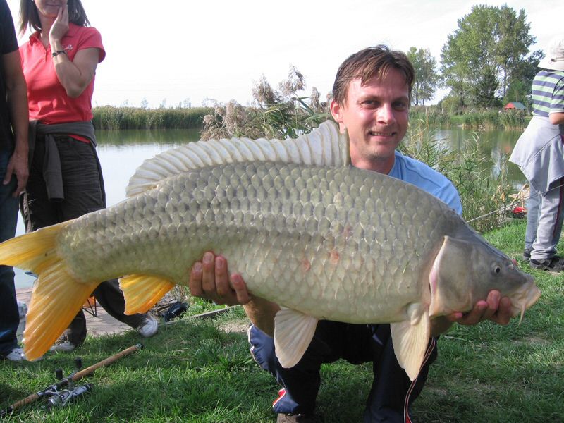 halak 415.jpg